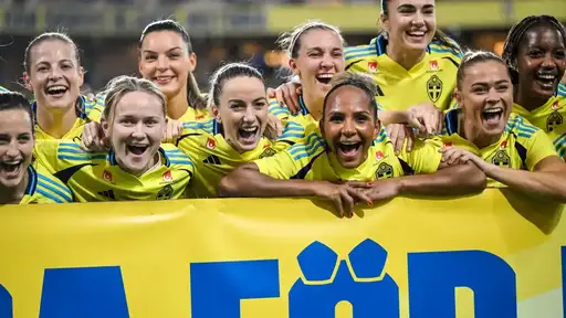 Sweden is applying for EURO 2029 together with Denmark