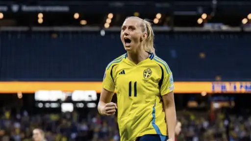 Denmark is facing Sweden today. Take a look at their last match against each other in Strawberry arena