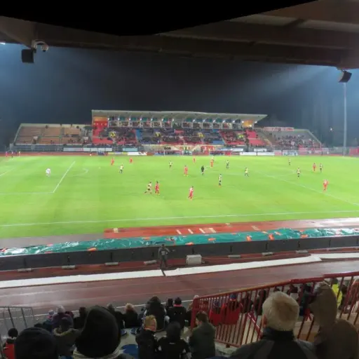 Dijon FCO