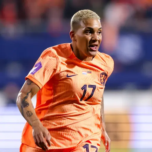 Shanice van de Sanden