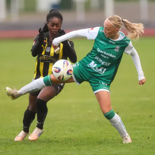 Saga Fredgren